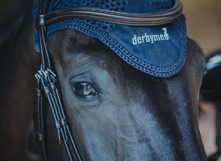 dbm internationale kunden startseite teaser (1)